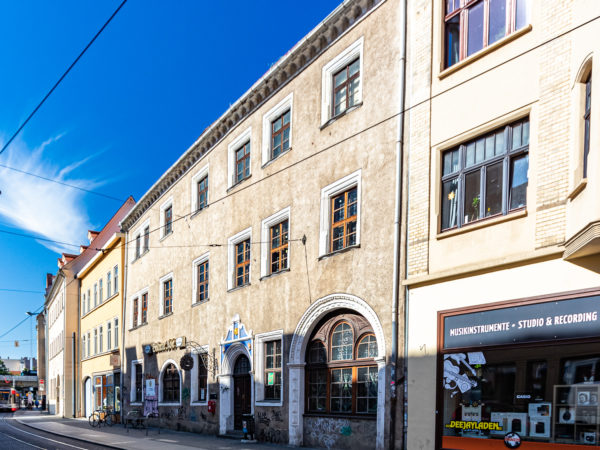 Goldene Rose | Halle a.d. Saale