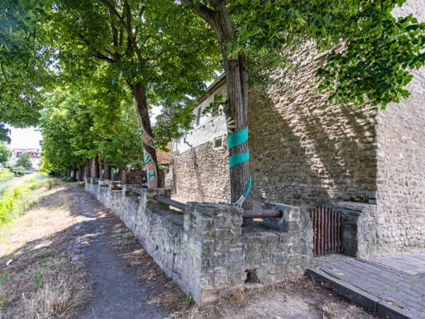Kunstzuckerhut Hettstedt